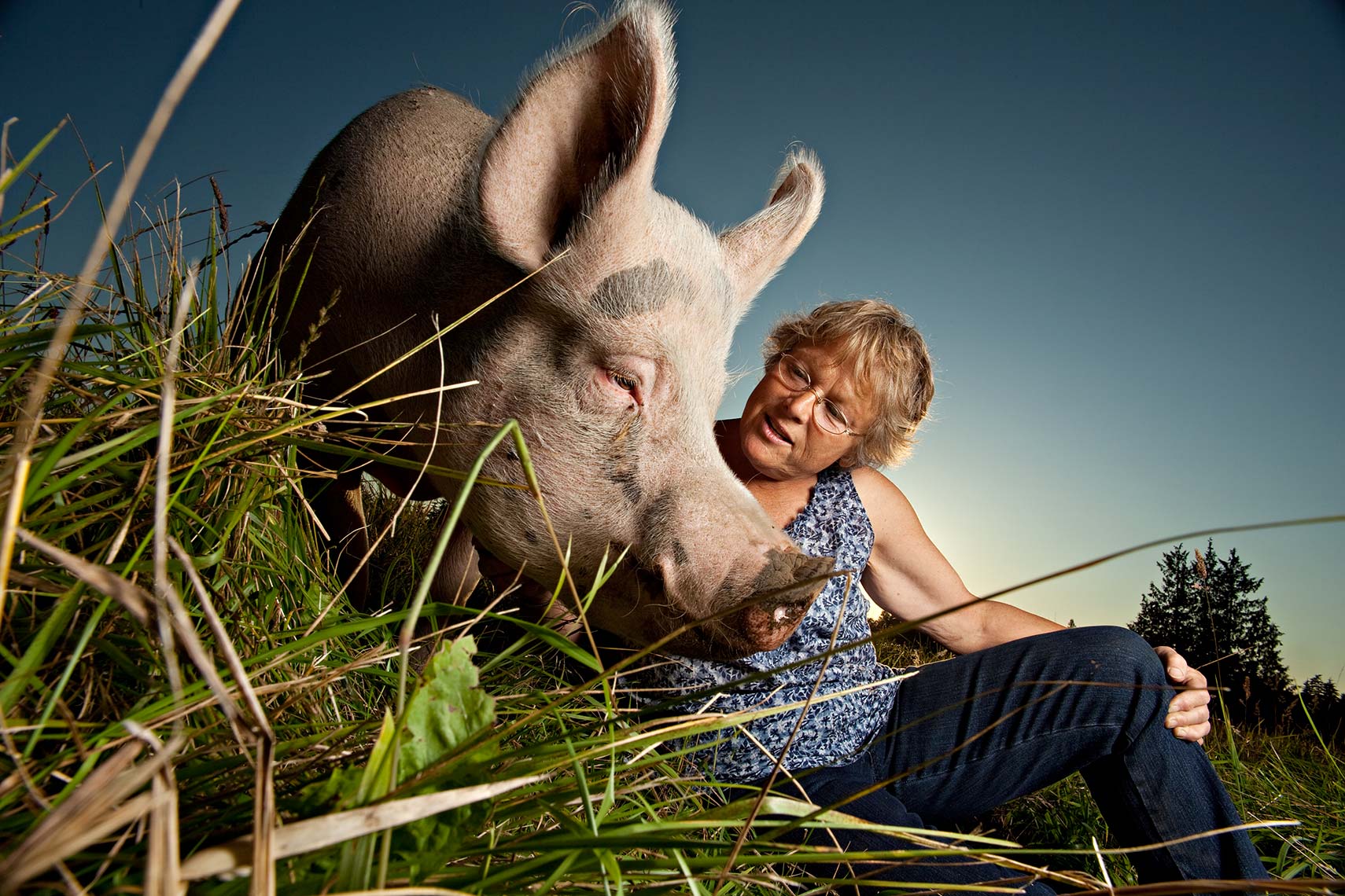 Judy Woods, Pigs Peace Sanctuary, Animal photography, People with animals, Magazine photography, Seattle Photographers, Business photography, trade magazine photography, corporate, editorial, advertising photography, headshot photography, executive portrait photography